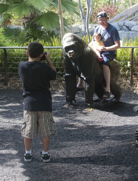 316-5377 San Diego Zoo - Gorilla Statues.jpg